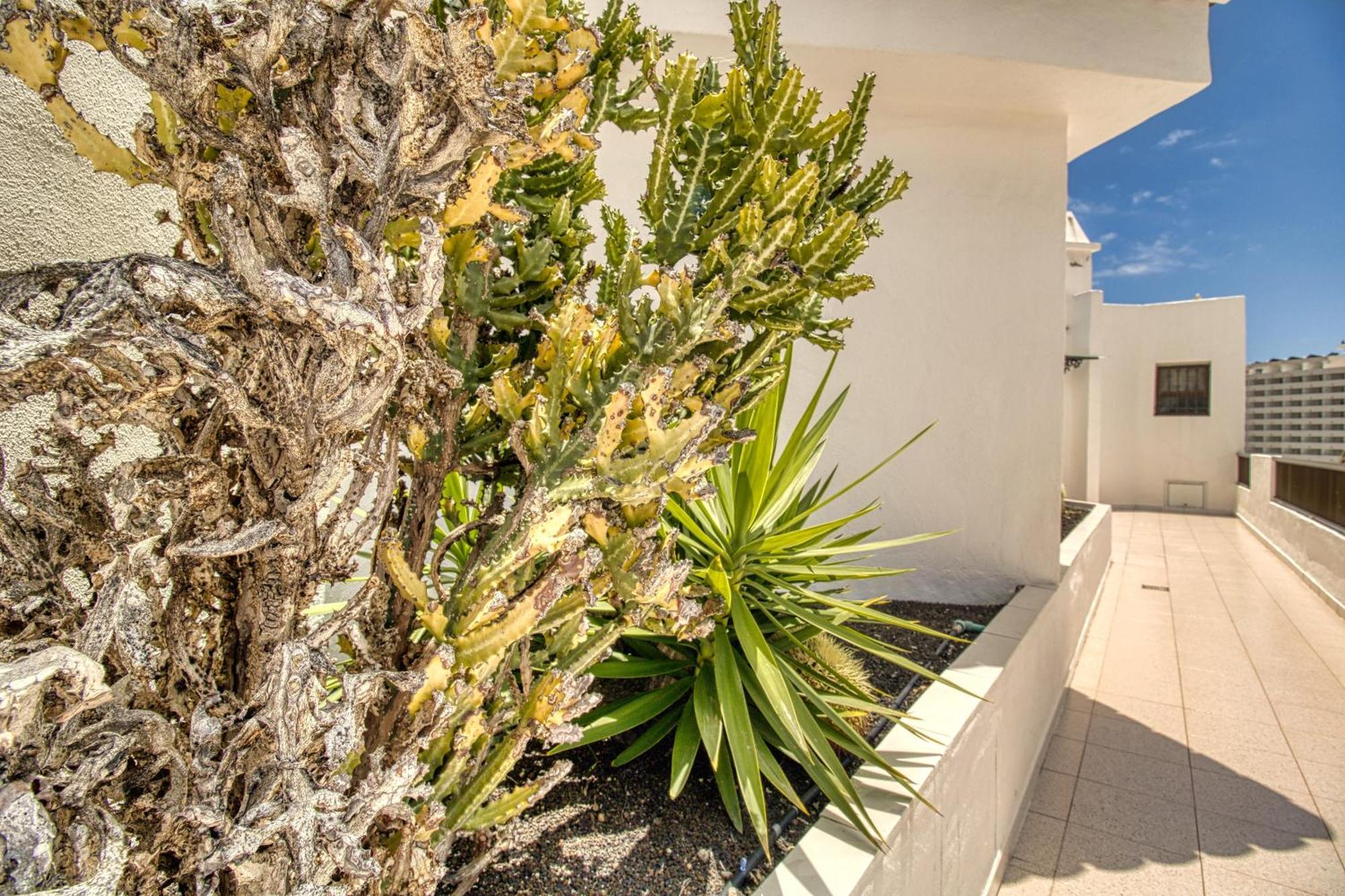 Apartament Penthouse Sea View Jacuzzy Terrace & Pool Playa Feñabe Zewnętrze zdjęcie