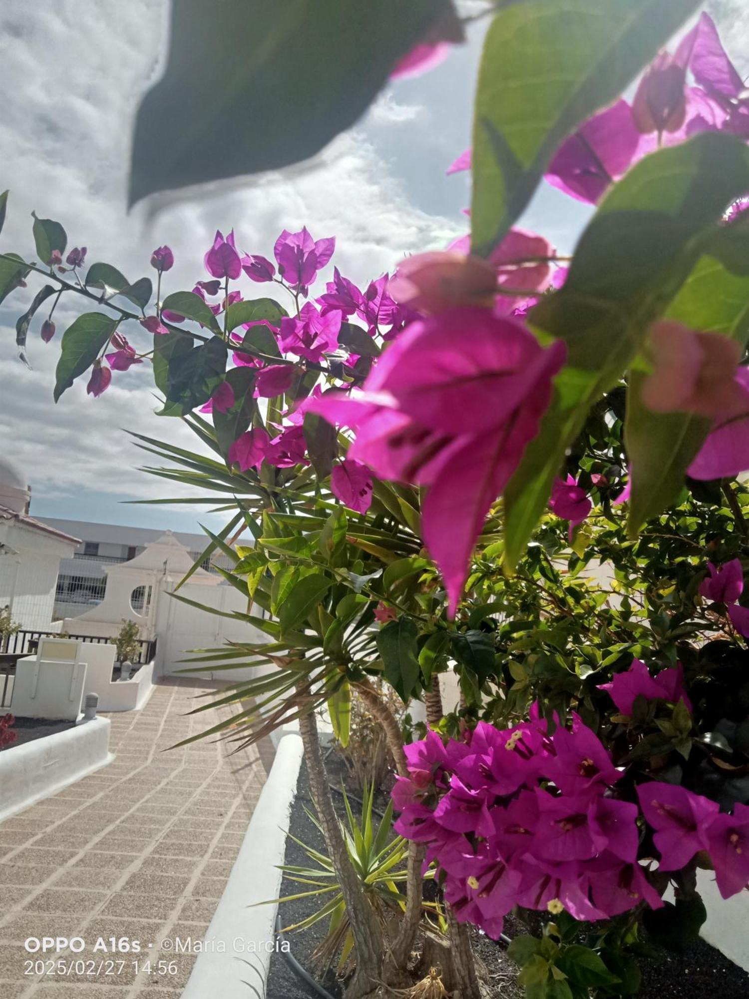 Apartament Penthouse Sea View Jacuzzy Terrace & Pool Playa Feñabe Zewnętrze zdjęcie